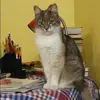 Отзыв от Прасковья Ефимова